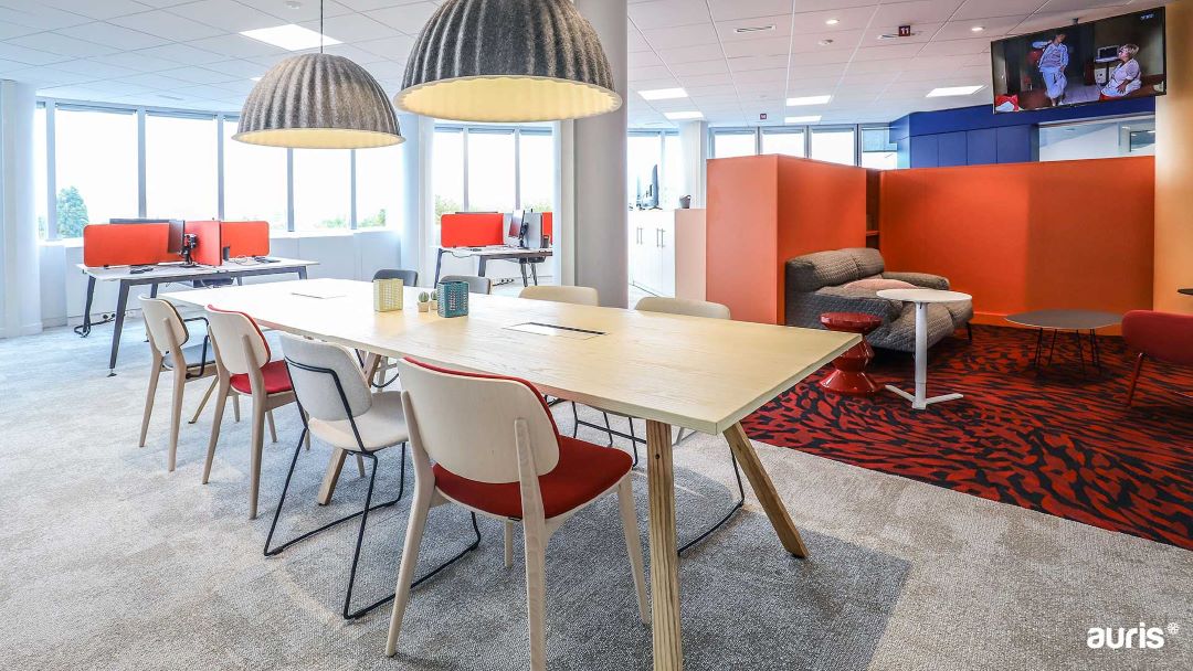 Auris - Conseil - AMO - MOEx - Référence TF1 Espace de travail réaménagé en site occupé – projet TF1 accompagné par Auris